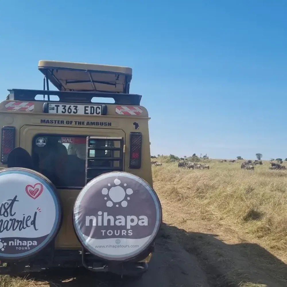 Couple on honeymoon in Serengeti Couples looking for a honeymoon safari in Tanzania and Zanzibar Nihapa Tours the best safari company for tailored honeymoon vacation to Serengeti and Mara River