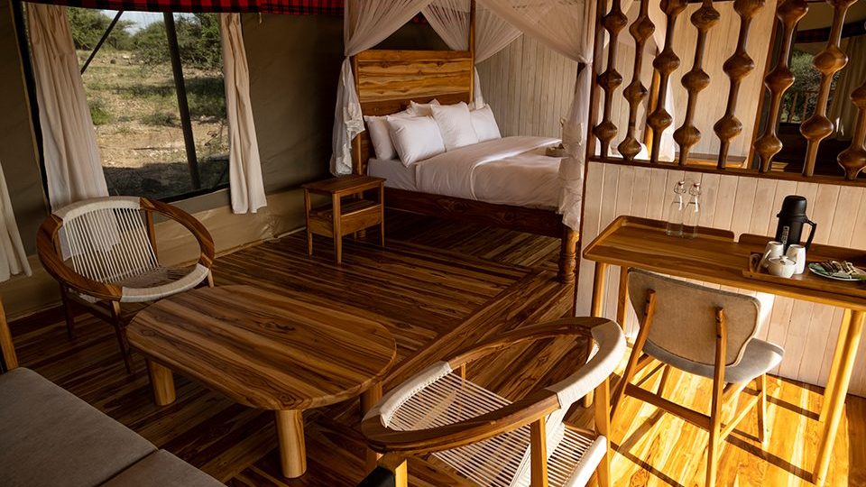 acacia serengeti room acacia serengeti room